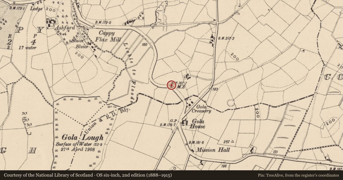 Ordnance Survey six-inch map, 2nd edition (1888–1915) covering the location of Milestone 5 Mile, Farnamullan, with a pin at the register's coordinates