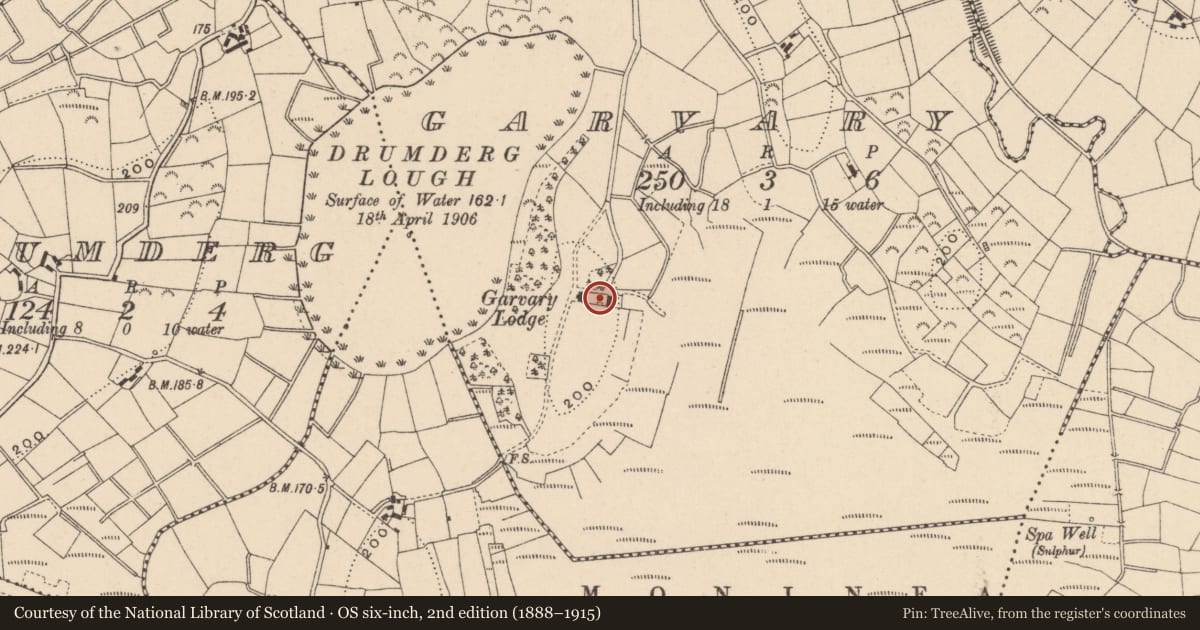 Ordnance Survey six-inch map, 2nd edition (1888–1915) covering the location of Garvary Lodge, Fermanagh and Omagh, with a pin at the register's coordinates