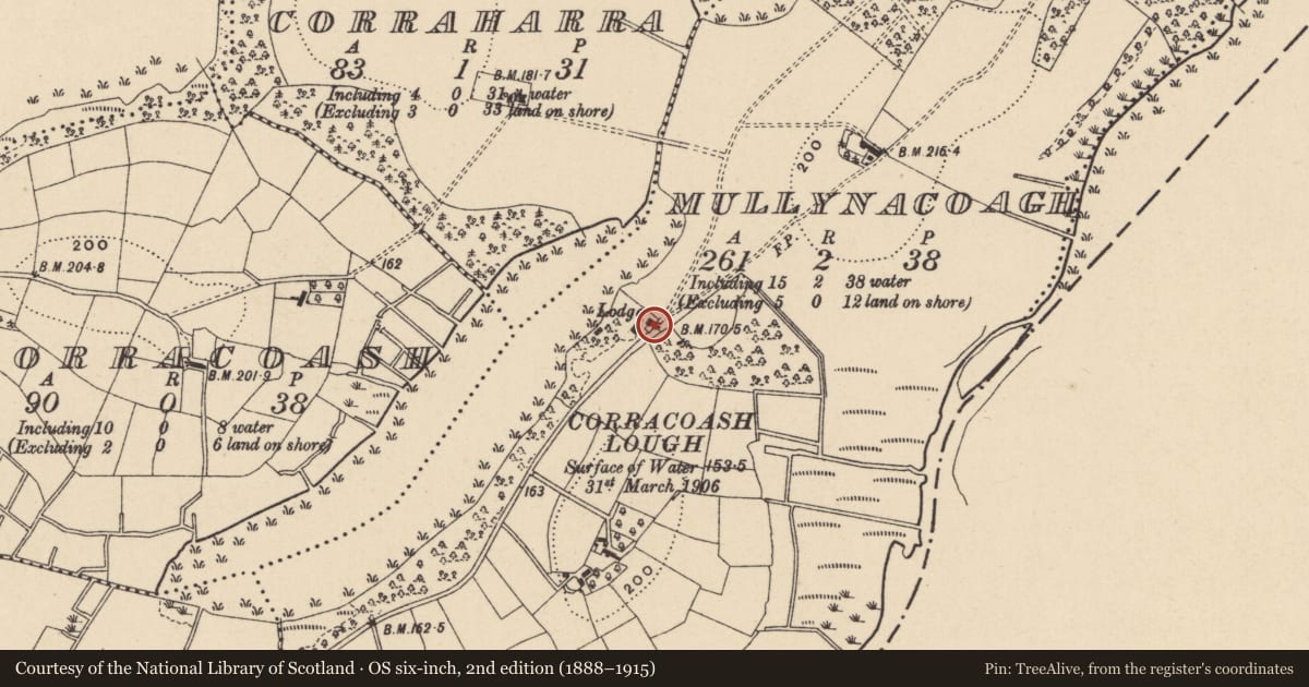 Ordnance Survey six-inch map, 2nd edition (1888–1915) covering the location of West Lodge, Fermanagh and Omagh, with a pin at the register's coordinates