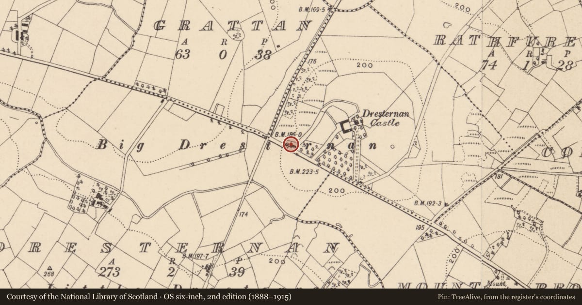Ordnance Survey six-inch map, 2nd edition (1888–1915) covering the location of 81 Mount Prospect Road, Dresternan, Fermanagh and Omagh, with a pin at the register's coordinates