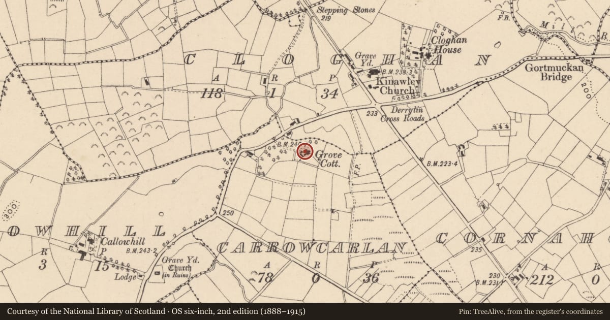 Ordnance Survey six-inch map, 2nd edition (1888–1915) covering the location of Grove Cottage, Fermanagh and Omagh, with a pin at the register's coordinates
