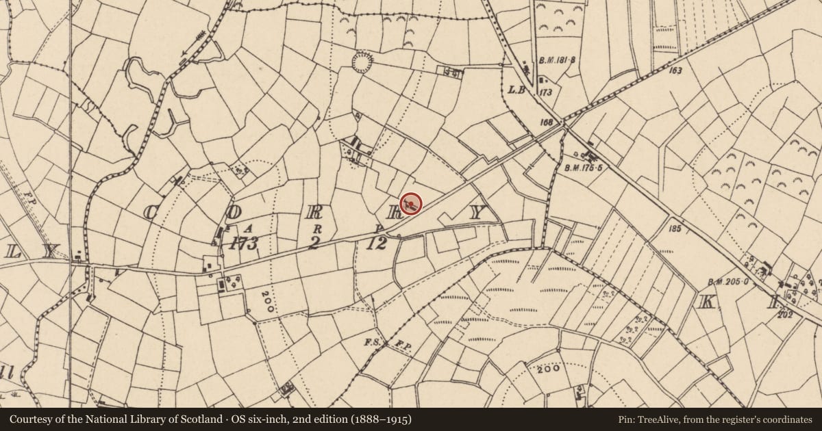 Ordnance Survey six-inch map, 2nd edition (1888–1915) covering the location of Cottage at Corry Townland, Fermanagh and Omagh, with a pin at the register's coordinates