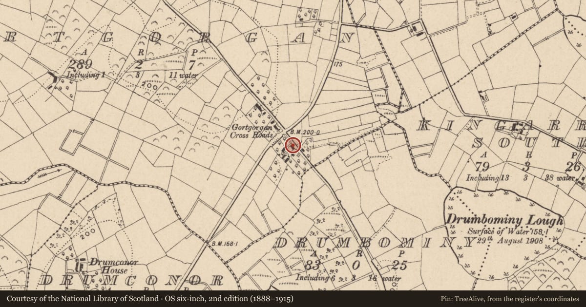 Ordnance Survey six-inch map, 2nd edition (1888–1915) covering the location of 52 Glassmullagh Road, Gortgorgan, Fermanagh and Omagh, with a pin at the register's coordinates
