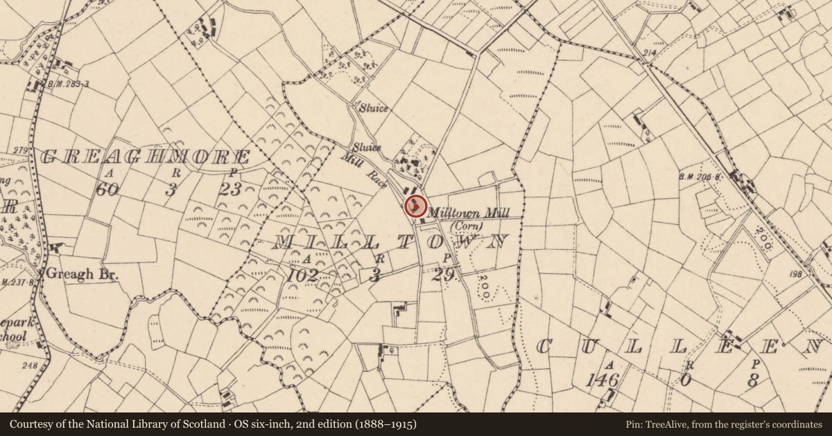 Ordnance Survey six-inch map, 2nd edition (1888–1915) covering the location of Callowhill Mill, Fermanagh and Omagh, with a pin at the register's coordinates