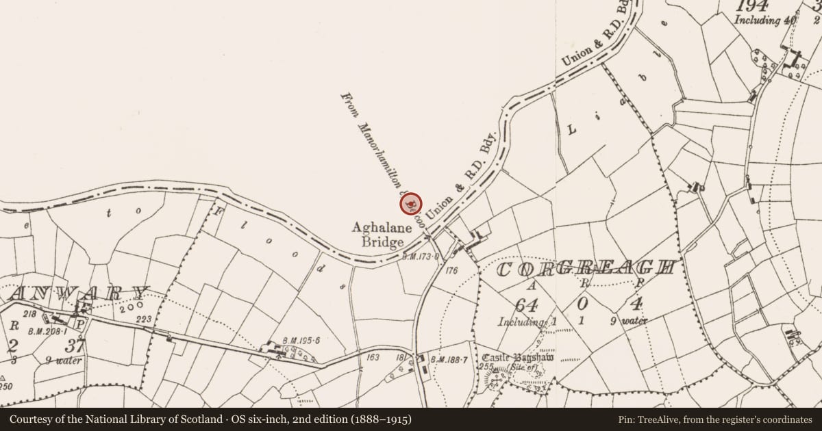 Ordnance Survey six-inch map, 2nd edition (1888–1915) covering the location of 431 Belturbet Road, Aghalane, Fermanagh and Omagh, with a pin at the register's coordinates