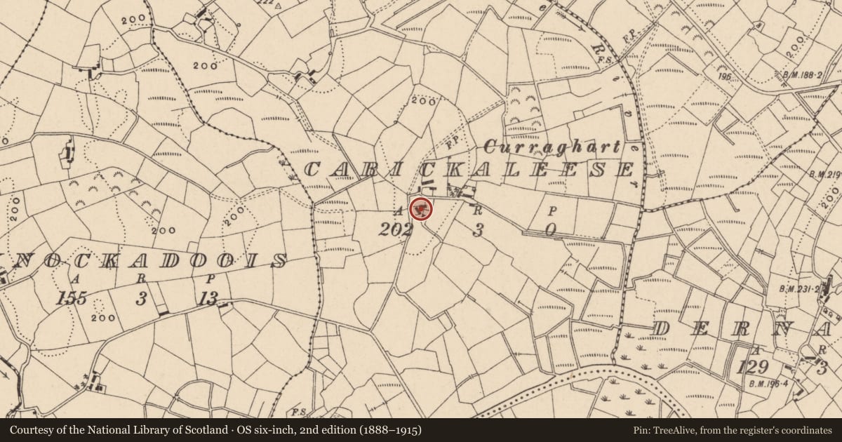 Ordnance Survey six-inch map, 2nd edition (1888–1915) covering the location of Rose Cottage, Carrickaleese, Fermanagh and Omagh, with a pin at the register's coordinates