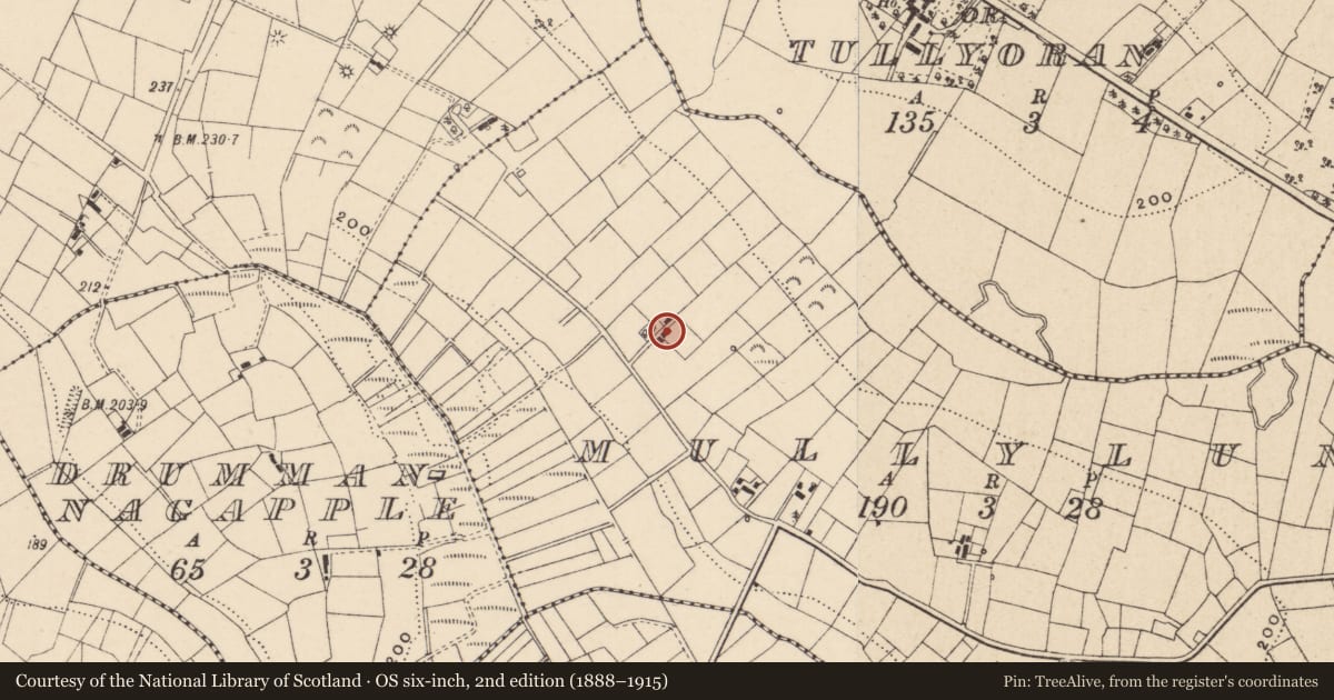 Ordnance Survey six-inch map, 2nd edition (1888–1915) covering the location of 46 Mullylun Road, Fermanagh and Omagh, with a pin at the register's coordinates