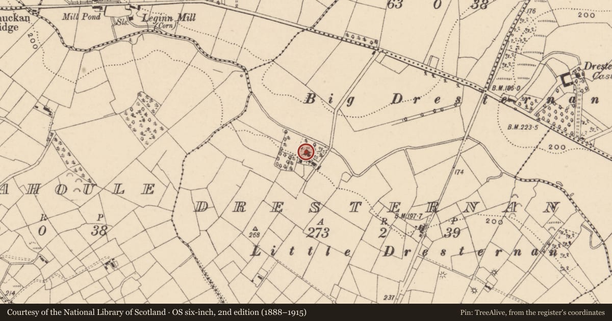 Ordnance Survey six-inch map, 2nd edition (1888–1915) covering the location of Dresternan House, Fermanagh and Omagh, with a pin at the register's coordinates
