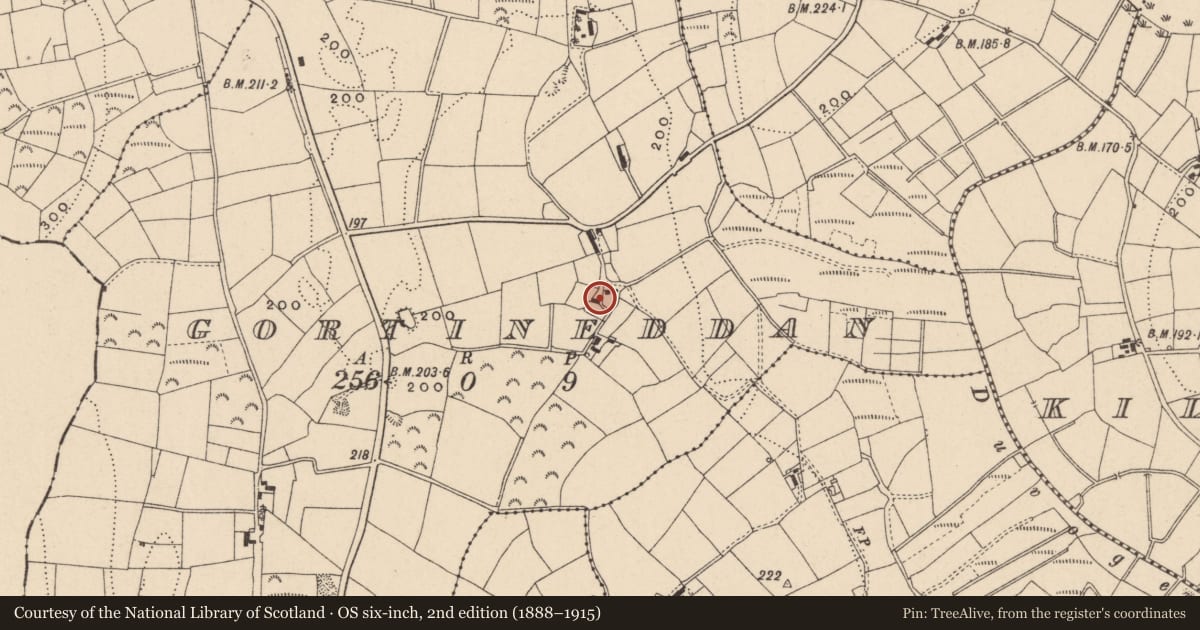 Ordnance Survey six-inch map, 2nd edition (1888–1915) covering the location of 9 Drumderg Road, Gortineddan, Fermanagh and Omagh, with a pin at the register's coordinates