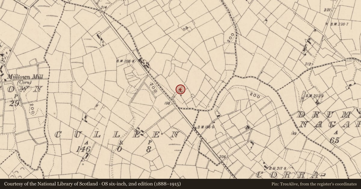 Ordnance Survey six-inch map, 2nd edition (1888–1915) covering the location of McBrien’s, Cornahoule, Fermanagh and Omagh, with a pin at the register's coordinates