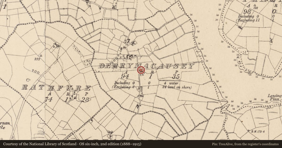 Ordnance Survey six-inch map, 2nd edition (1888–1915) covering the location of Mc Cormack'S, Fermanagh and Omagh, with a pin at the register's coordinates