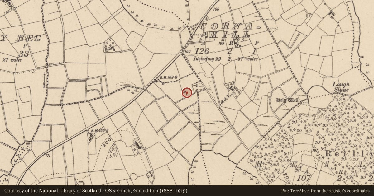 Ordnance Survey six-inch map, 2nd edition (1888–1915) covering the location of 11 Geaglum Road, Derrycanon, Fermanagh and Omagh, with a pin at the register's coordinates