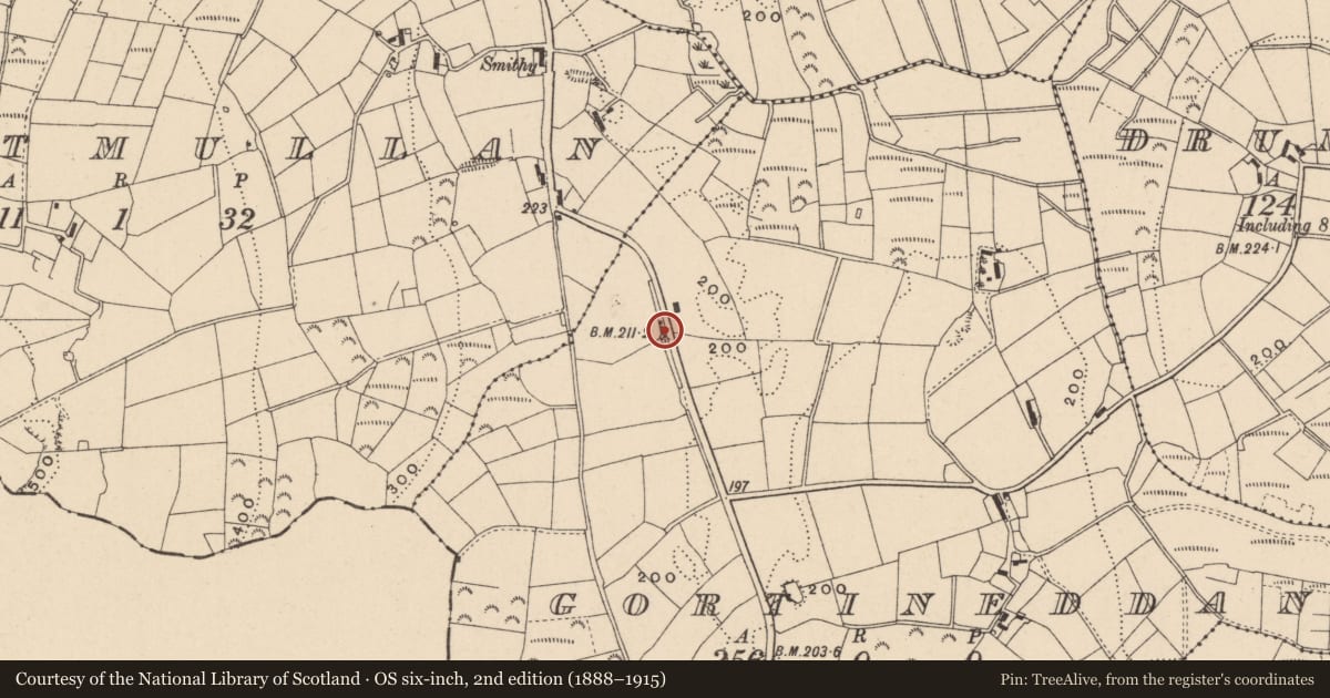 Ordnance Survey six-inch map, 2nd edition (1888–1915) covering the location of Coleman’s, Gortineddan, Fermanagh and Omagh, with a pin at the register's coordinates