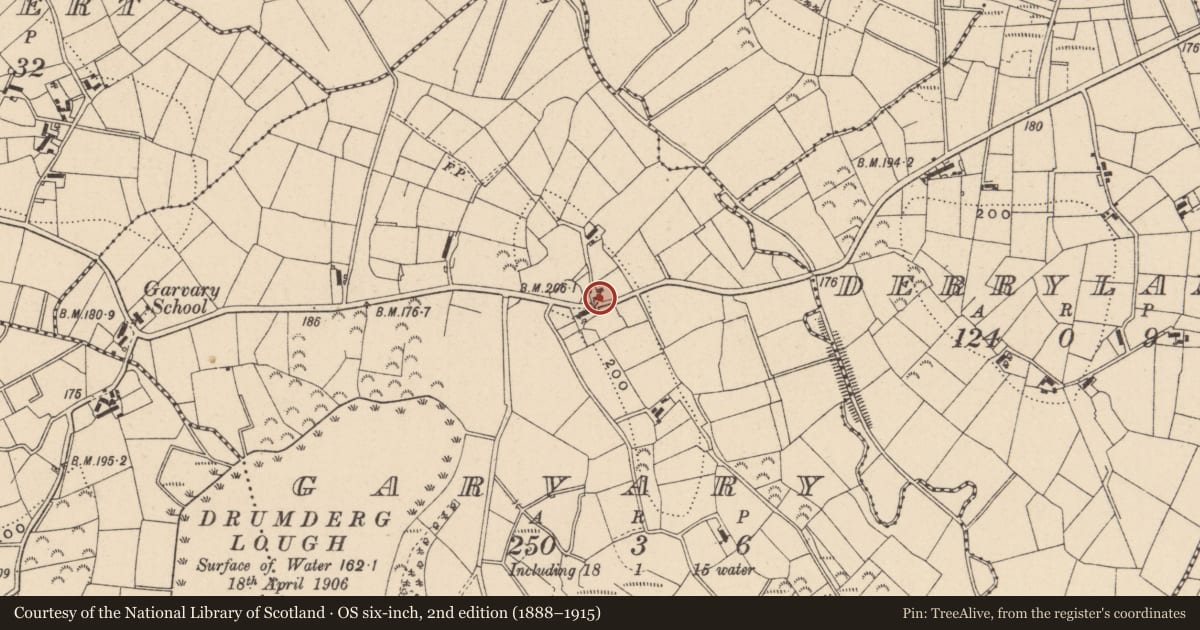 Ordnance Survey six-inch map, 2nd edition (1888–1915) covering the location of Garvary, Fermanagh and Omagh, with a pin at the register's coordinates