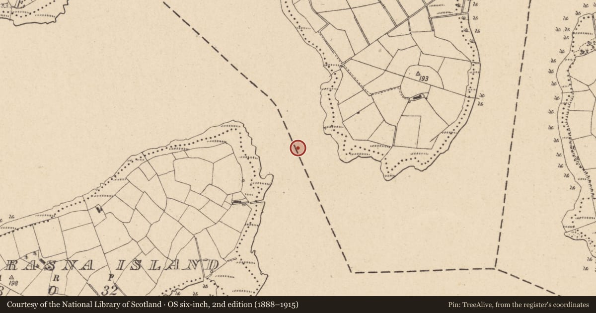 Ordnance Survey six-inch map, 2nd edition (1888–1915) covering the location of Lady Craigavon Bridge, Fermanagh and Omagh, with a pin at the register's coordinates
