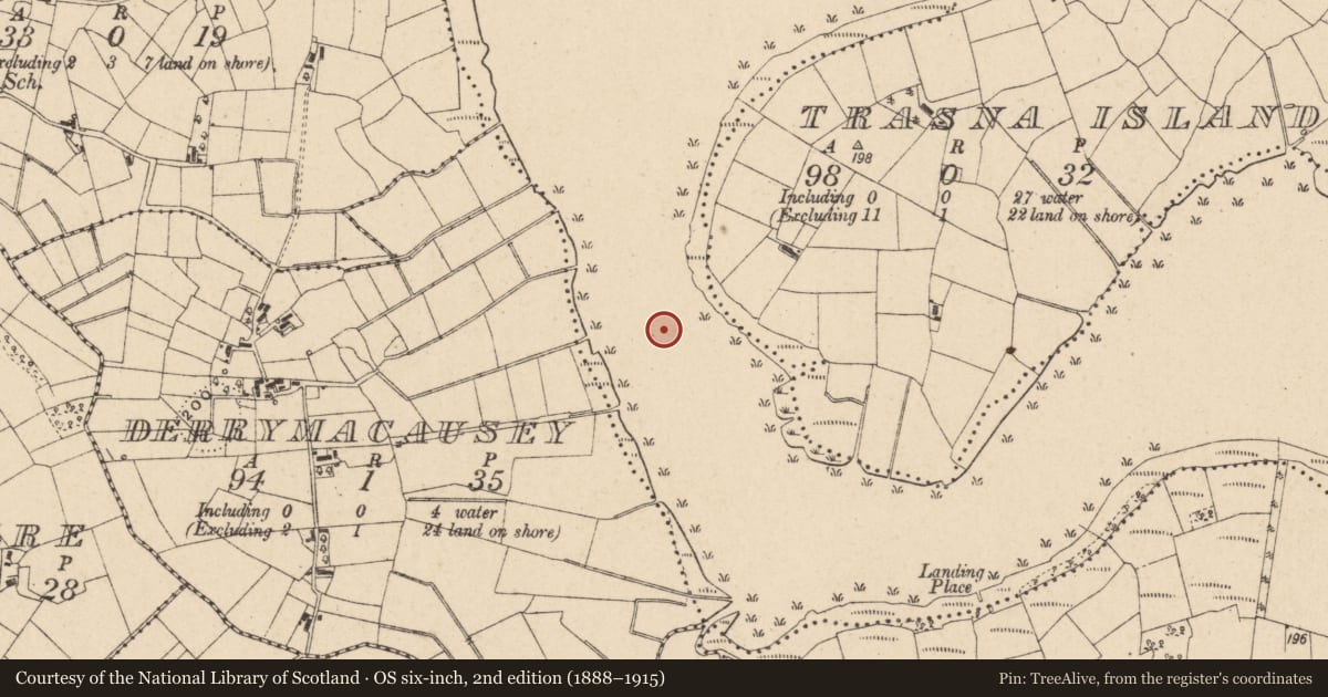 Ordnance Survey six-inch map, 2nd edition (1888–1915) covering the location of Lady Brooke Bridge, Fermanagh and Omagh, with a pin at the register's coordinates