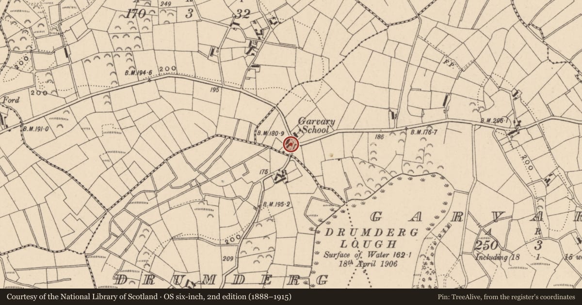 Ordnance Survey six-inch map, 2nd edition (1888–1915) covering the location of 36 Drumderg Road, Derrylin, Co Fermanagh BT92 9QB, Garvary, Fermanagh and Omagh, with a pin at the register's coordinates