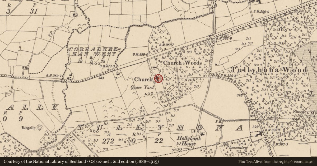 Ordnance Survey six-inch map, 2nd edition (1888–1915) covering the location of St. John'S Church, Fermanagh and Omagh, with a pin at the register's coordinates