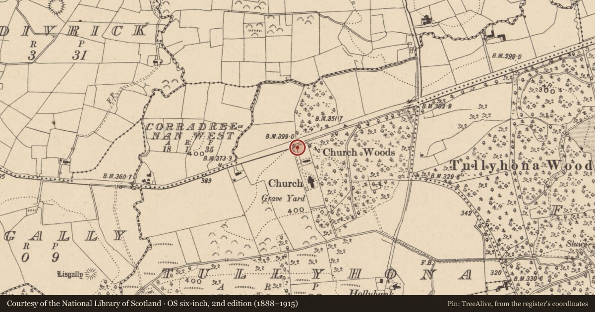 Ordnance Survey six-inch map, 2nd edition (1888–1915) covering the location of Entrance Gates And Railings Of St. John'S Church (COFI), Fermanagh and Omagh, with a pin at the register's coordinates
