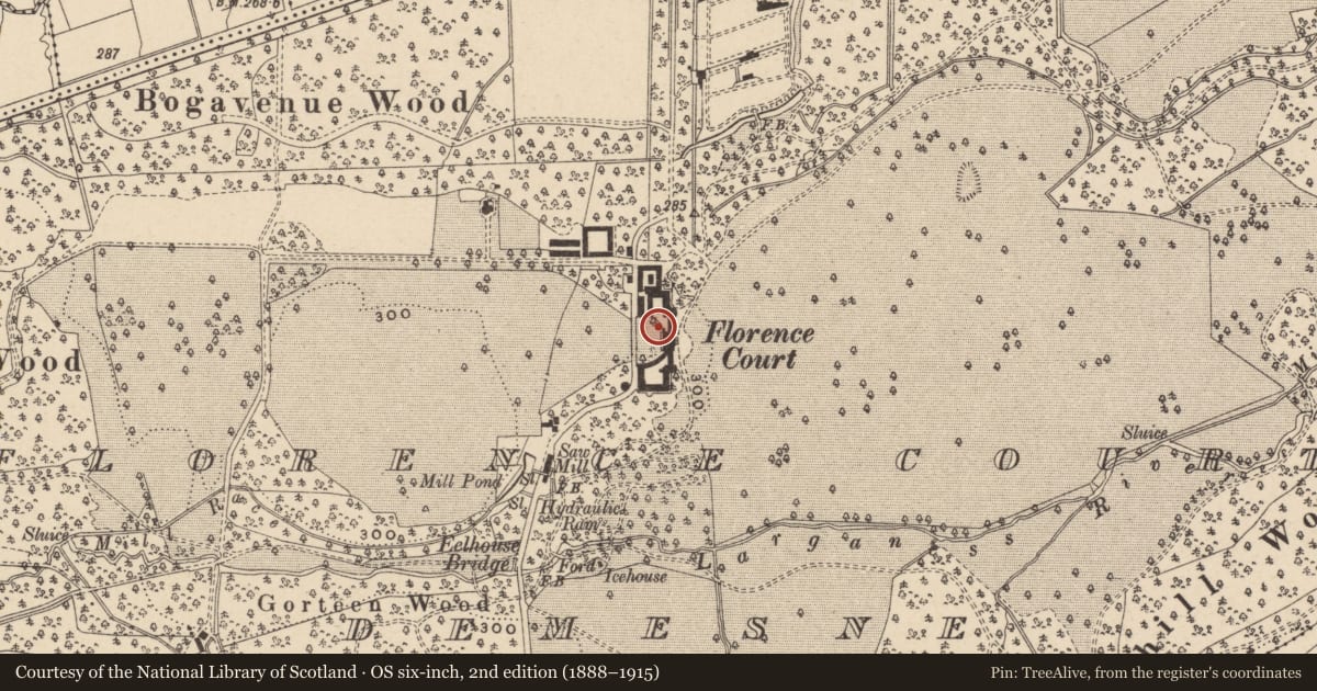 Ordnance Survey six-inch map, 2nd edition (1888–1915) covering the location of Florence Court, Fermanagh and Omagh, with a pin at the register's coordinates