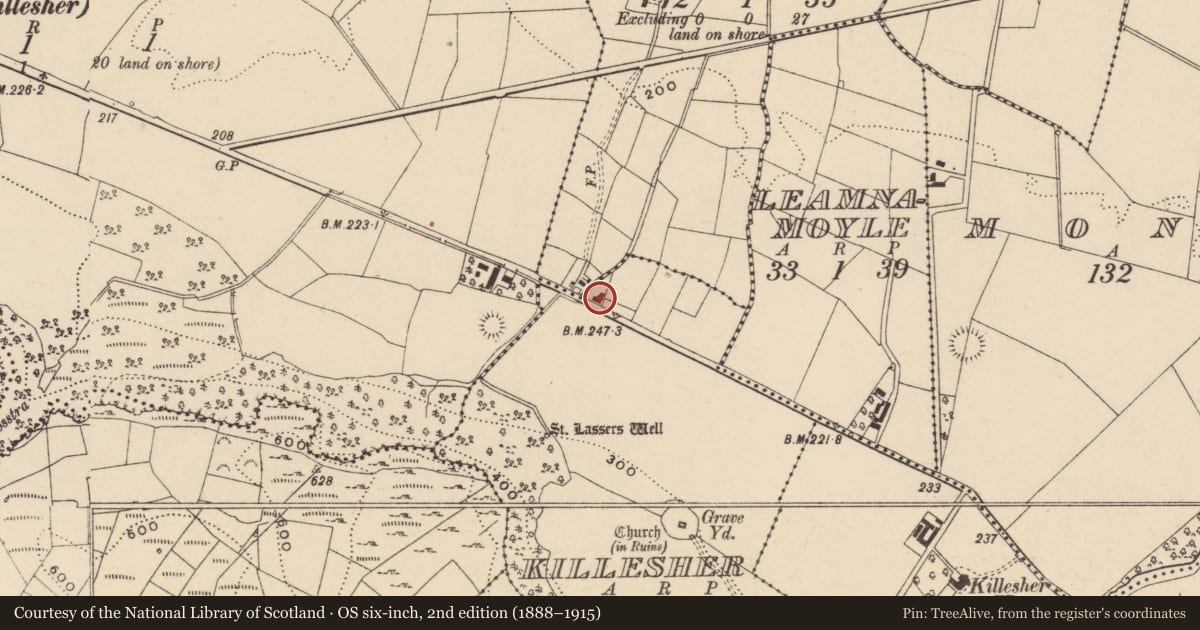 Ordnance Survey six-inch map, 2nd edition (1888–1915) covering the location of Martel Cottage, Killesher, Fermanagh and Omagh, with a pin at the register's coordinates