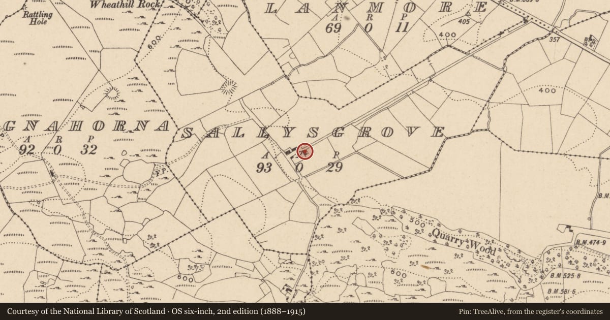Ordnance Survey six-inch map, 2nd edition (1888–1915) covering the location of 21 Marlbank Road, Fermanagh and Omagh, with a pin at the register's coordinates