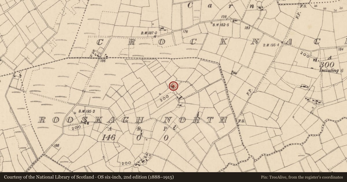 Ordnance Survey six-inch map, 2nd edition (1888–1915) covering the location of COTTAGE, Fermanagh and Omagh, with a pin at the register's coordinates