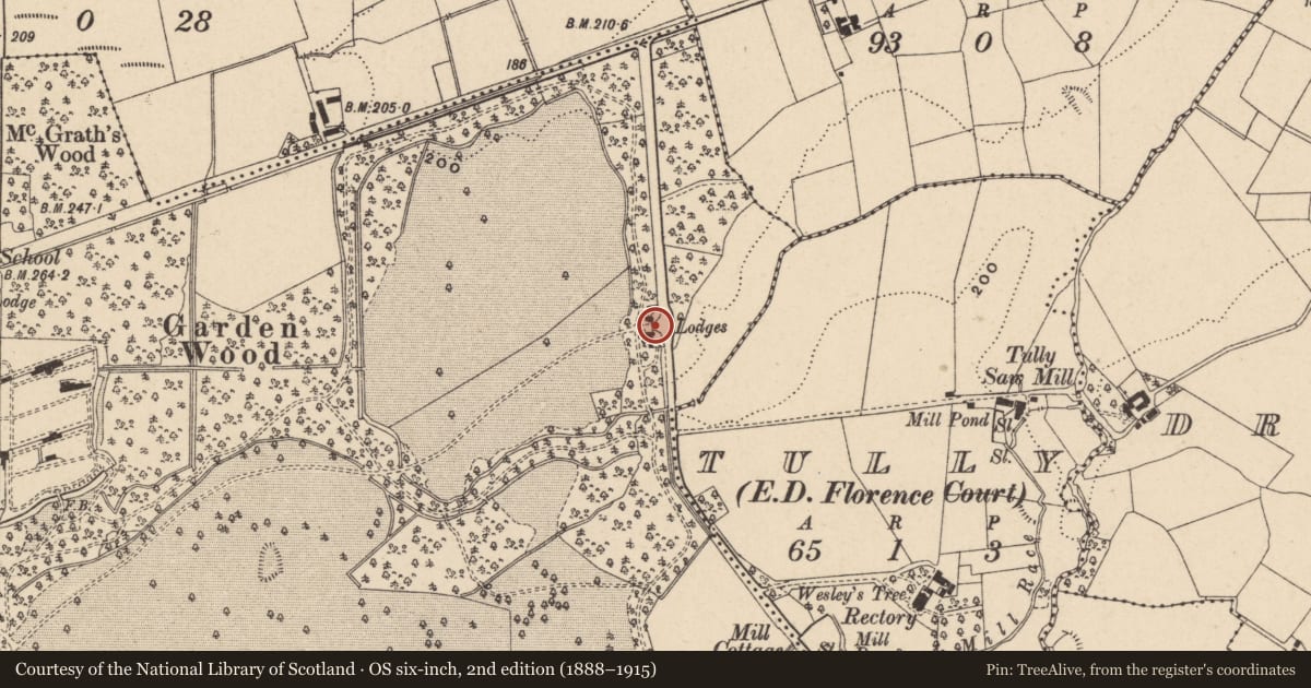 Ordnance Survey six-inch map, 2nd edition (1888–1915) covering the location of The Grand Gate And Lodges, Fermanagh and Omagh, with a pin at the register's coordinates