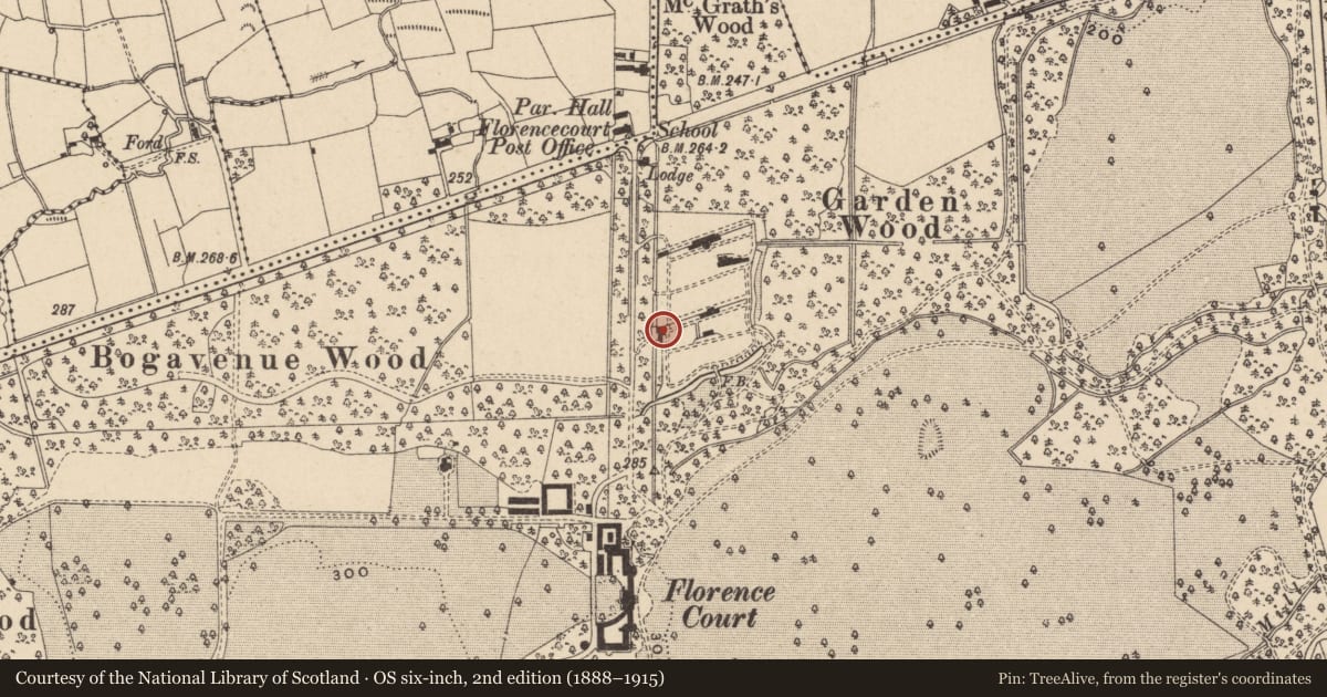 Ordnance Survey six-inch map, 2nd edition (1888–1915) covering the location of Head Gardener'S House, Fermanagh and Omagh, with a pin at the register's coordinates