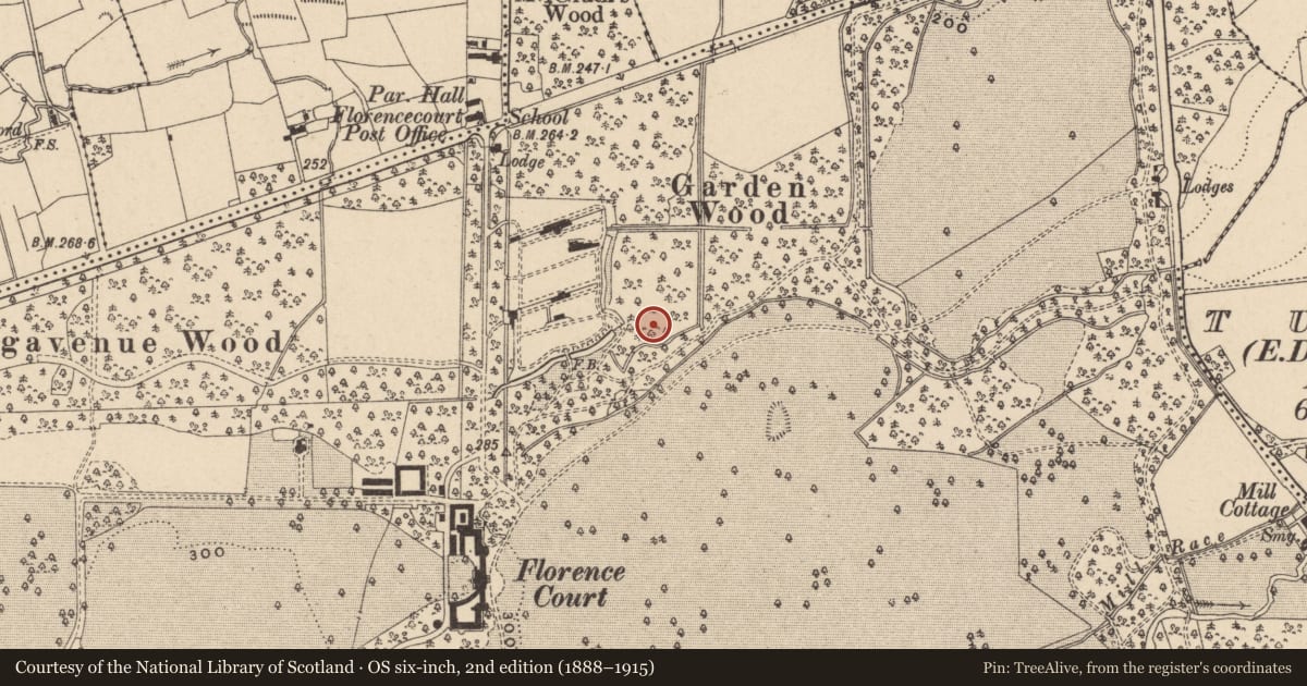 Ordnance Survey six-inch map, 2nd edition (1888–1915) covering the location of WOODSHED, Fermanagh and Omagh, with a pin at the register's coordinates