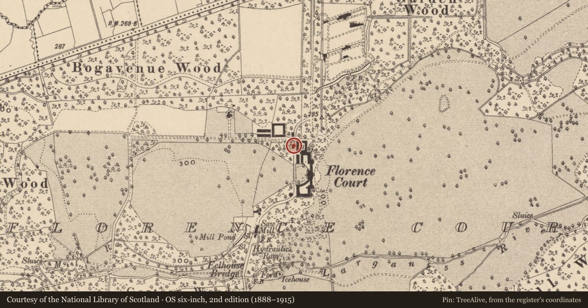 Ordnance Survey six-inch map, 2nd edition (1888–1915) covering the location of FORGE, Fermanagh and Omagh, with a pin at the register's coordinates