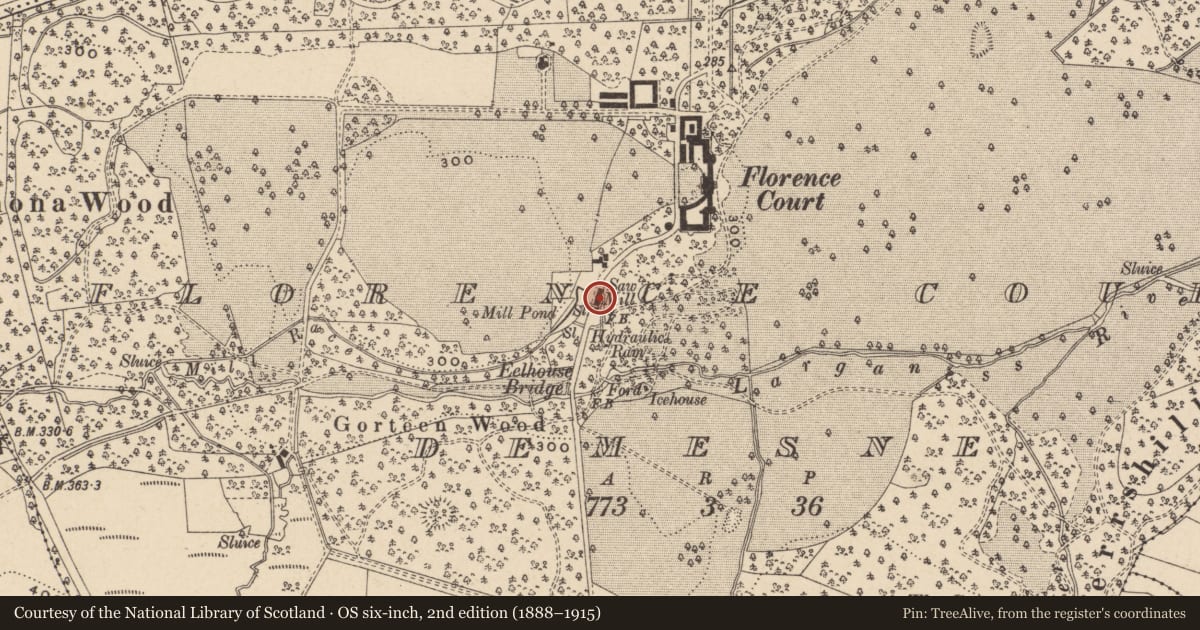 Ordnance Survey six-inch map, 2nd edition (1888–1915) covering the location of SAWMILL, Fermanagh and Omagh, with a pin at the register's coordinates