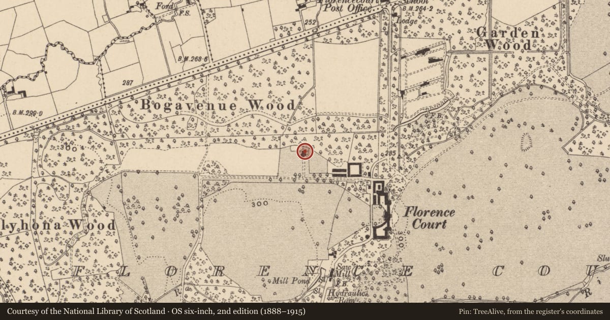 Ordnance Survey six-inch map, 2nd edition (1888–1915) covering the location of Steward'S House (Aka Dower House), Fermanagh and Omagh, with a pin at the register's coordinates