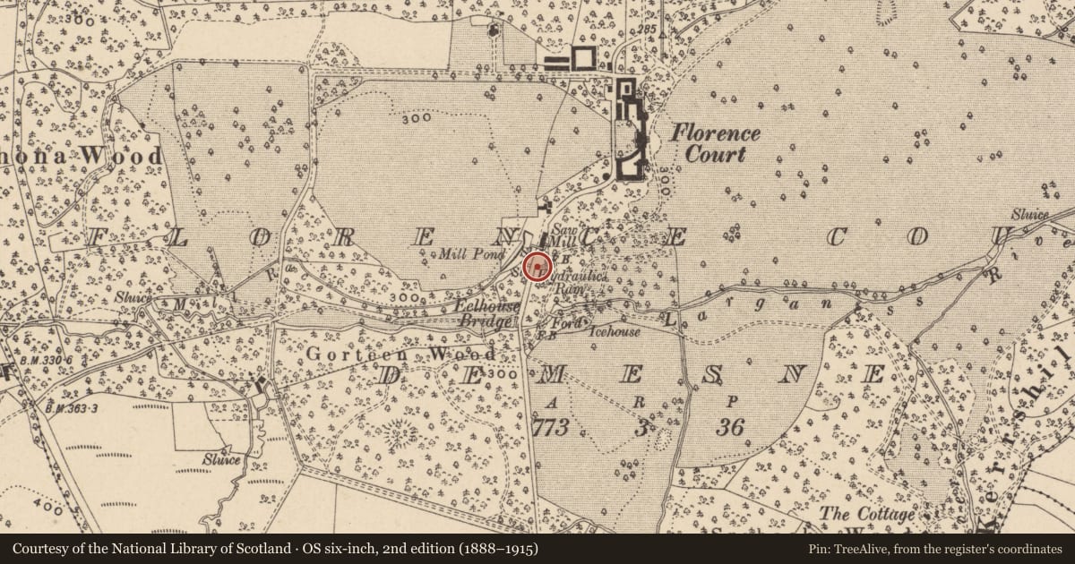 Ordnance Survey six-inch map, 2nd edition (1888–1915) covering the location of Hydraulic Ram House & Ram Florence Court, Fermanagh and Omagh, with a pin at the register's coordinates