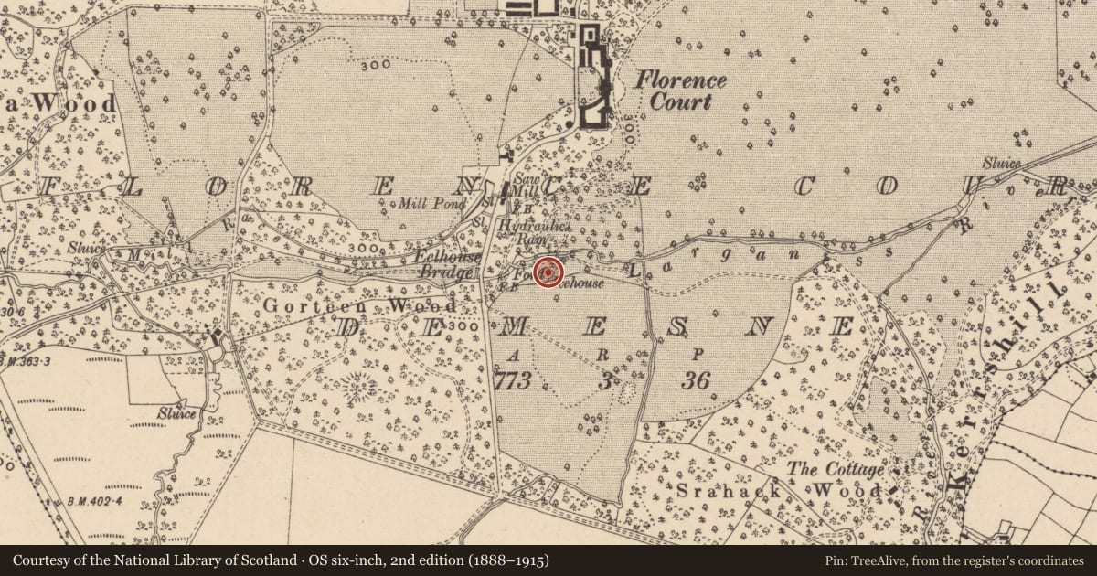 Ordnance Survey six-inch map, 2nd edition (1888–1915) covering the location of Ice House, Fermanagh and Omagh, with a pin at the register's coordinates