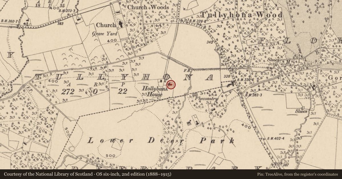 Ordnance Survey six-inch map, 2nd edition (1888–1915) covering the location of Hollybank House, Fermanagh and Omagh, with a pin at the register's coordinates