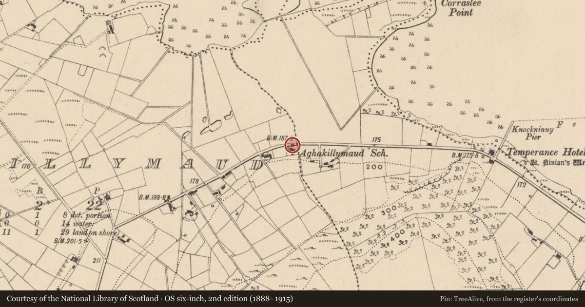 Ordnance Survey six-inch map, 2nd edition (1888–1915) covering the location of Aughakillymaude School, Fermanagh and Omagh, with a pin at the register's coordinates