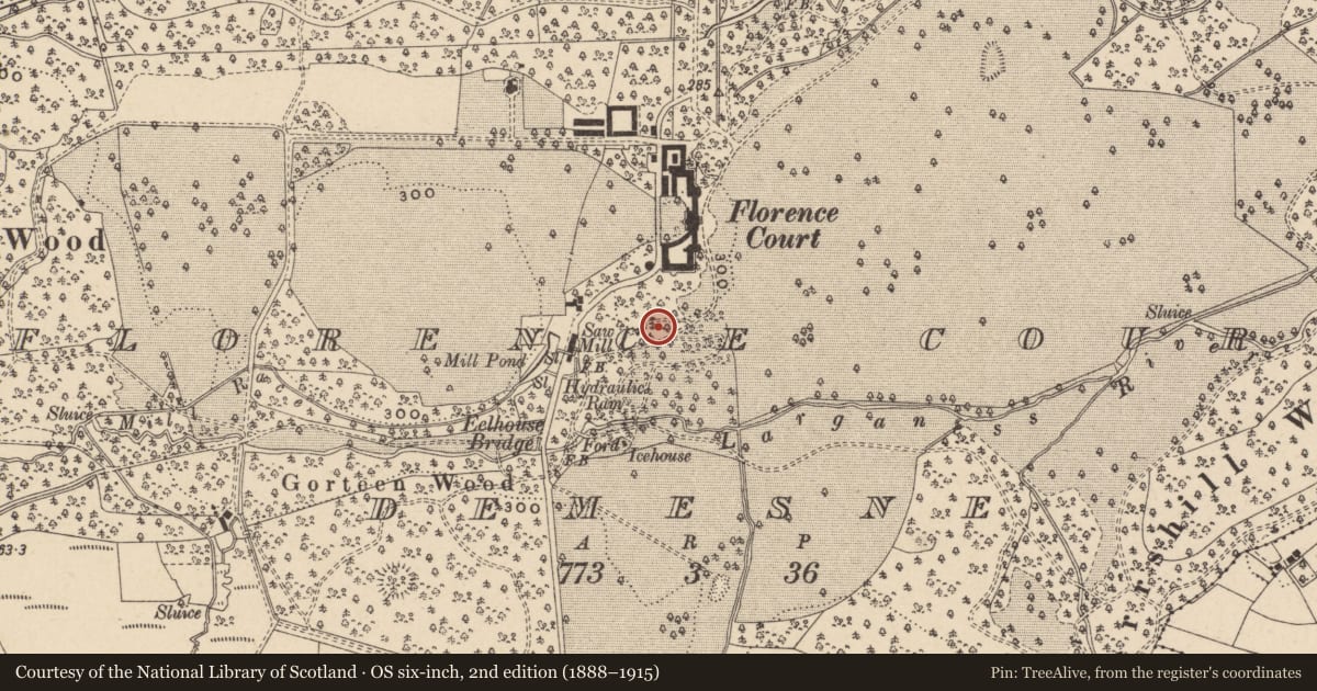 Ordnance Survey six-inch map, 2nd edition (1888–1915) covering the location of Summer House, Florence Court Demesne, Fermanagh and Omagh, with a pin at the register's coordinates