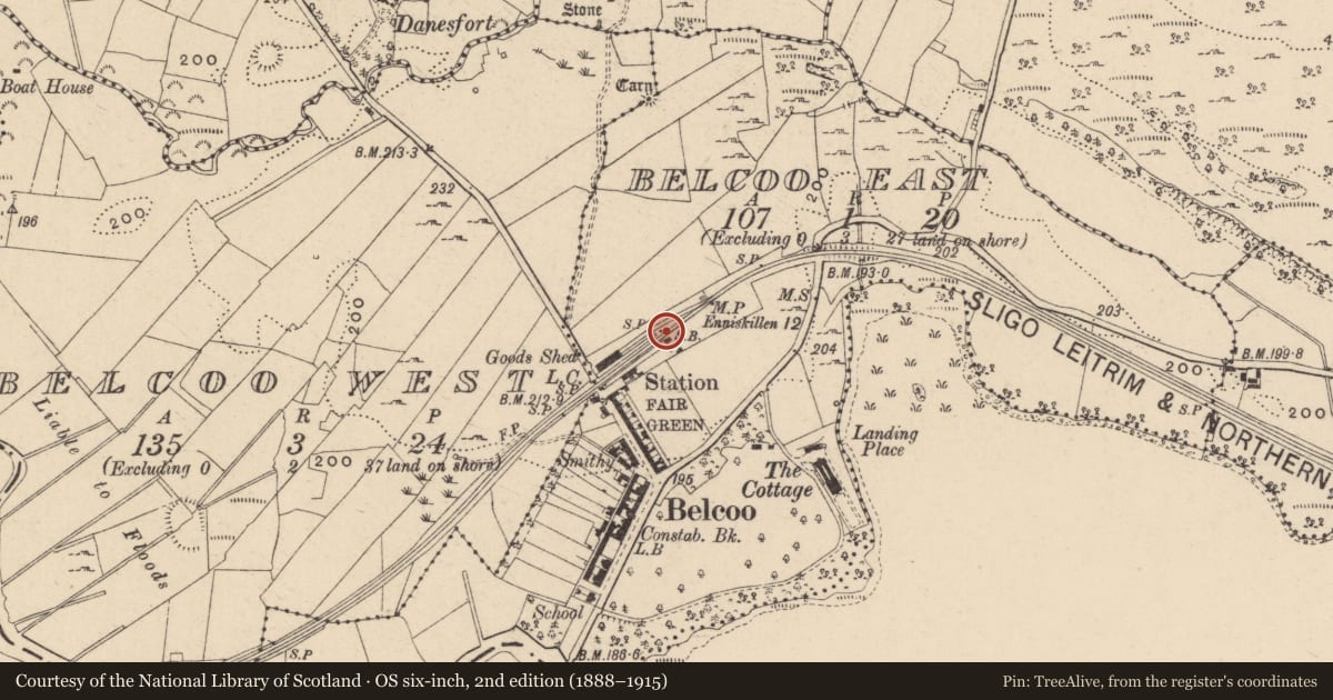 Ordnance Survey six-inch map, 2nd edition (1888–1915) covering the location of Signal Box, Fermanagh and Omagh, with a pin at the register's coordinates