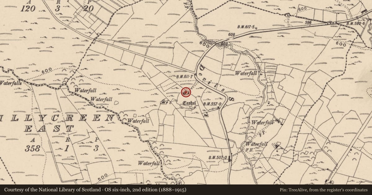 Ordnance Survey six-inch map, 2nd edition (1888–1915) covering the location of 257 Mullylusty Road, Fermanagh and Omagh, with a pin at the register's coordinates