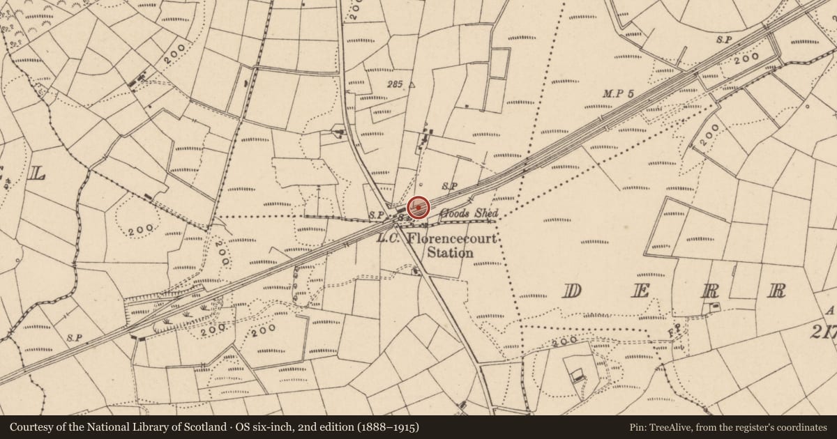 Ordnance Survey six-inch map, 2nd edition (1888–1915) covering the location of Platform And Goods Shed, Fermanagh and Omagh, with a pin at the register's coordinates