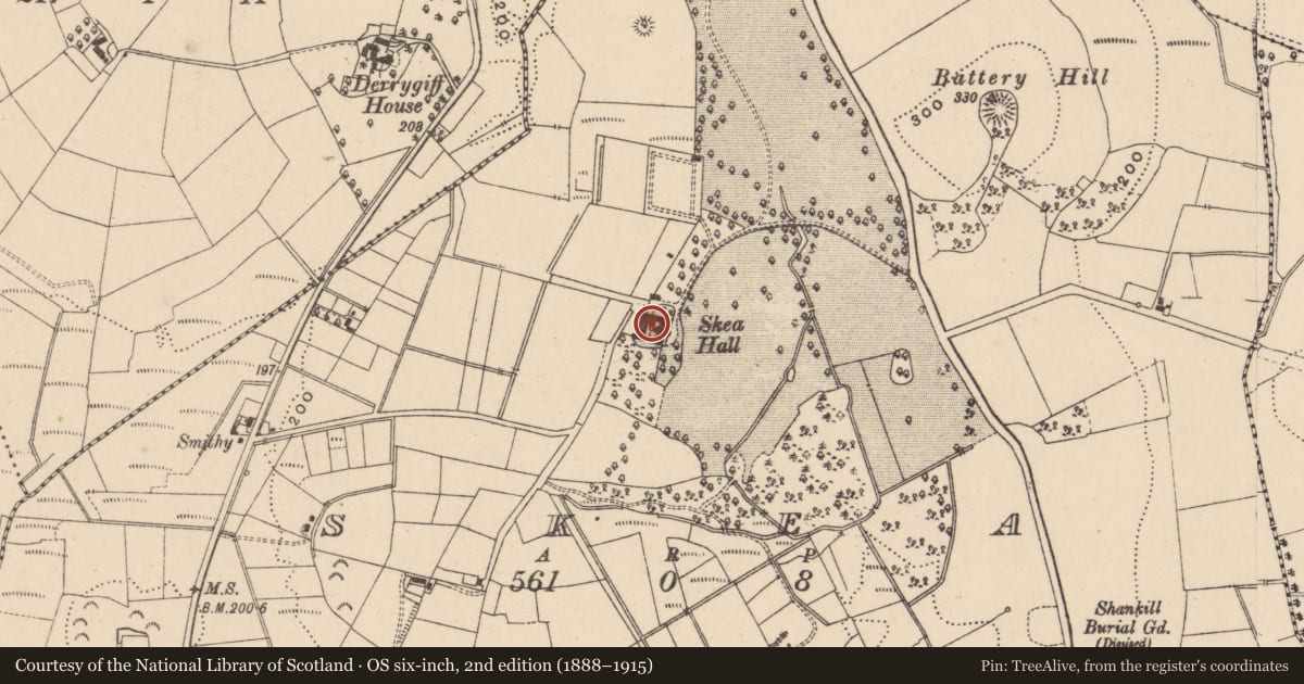 Ordnance Survey six-inch map, 2nd edition (1888–1915) covering the location of Skea Hall, Fermanagh and Omagh, with a pin at the register's coordinates