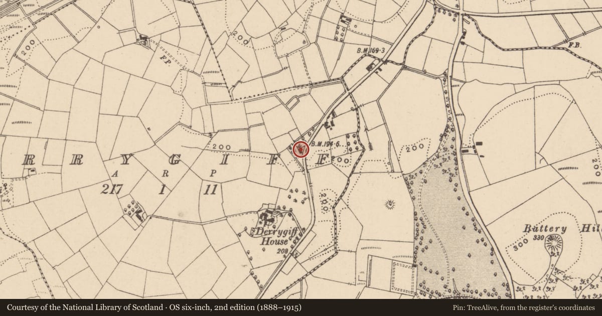 Ordnance Survey six-inch map, 2nd edition (1888–1915) covering the location of COTTAGE, Fermanagh and Omagh, with a pin at the register's coordinates