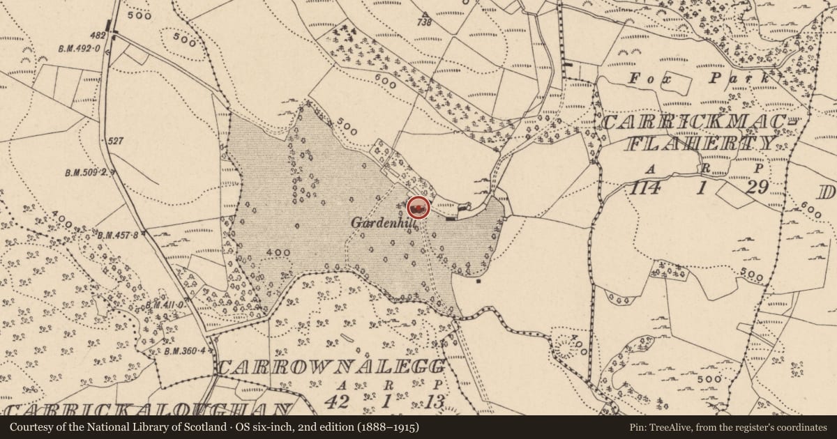 Ordnance Survey six-inch map, 2nd edition (1888–1915) covering the location of Gardenhill House, Fermanagh and Omagh, with a pin at the register's coordinates