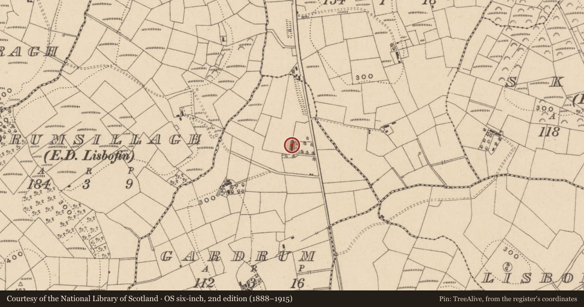 Ordnance Survey six-inch map, 2nd edition (1888–1915) covering the location of Thatched House At Gardrum, Fermanagh and Omagh, with a pin at the register's coordinates