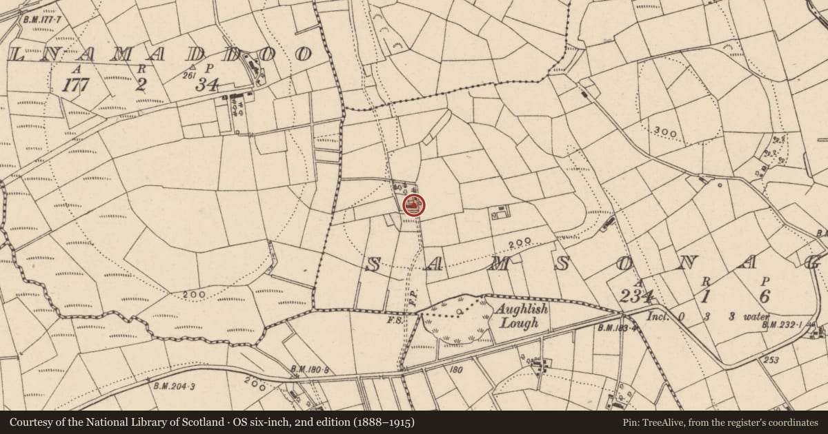 Ordnance Survey six-inch map, 2nd edition (1888–1915) covering the location of 68 Boho Road, Samsonagh, Fermanagh and Omagh, with a pin at the register's coordinates