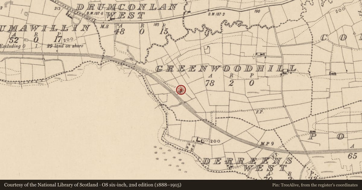 Ordnance Survey six-inch map, 2nd edition (1888–1915) covering the location of Thatched Cottage At Greenwoodhill, Fermanagh and Omagh, with a pin at the register's coordinates