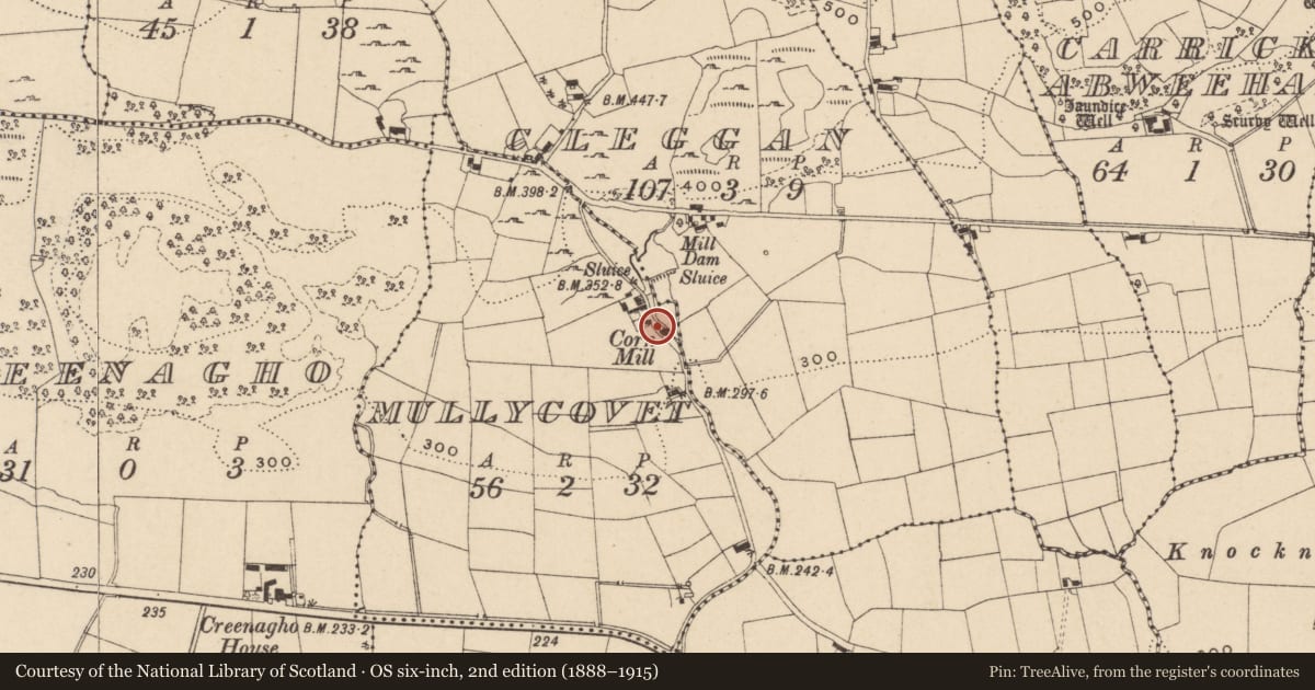 Ordnance Survey six-inch map, 2nd edition (1888–1915) covering the location of Mullycovet Mill, Fermanagh and Omagh, with a pin at the register's coordinates