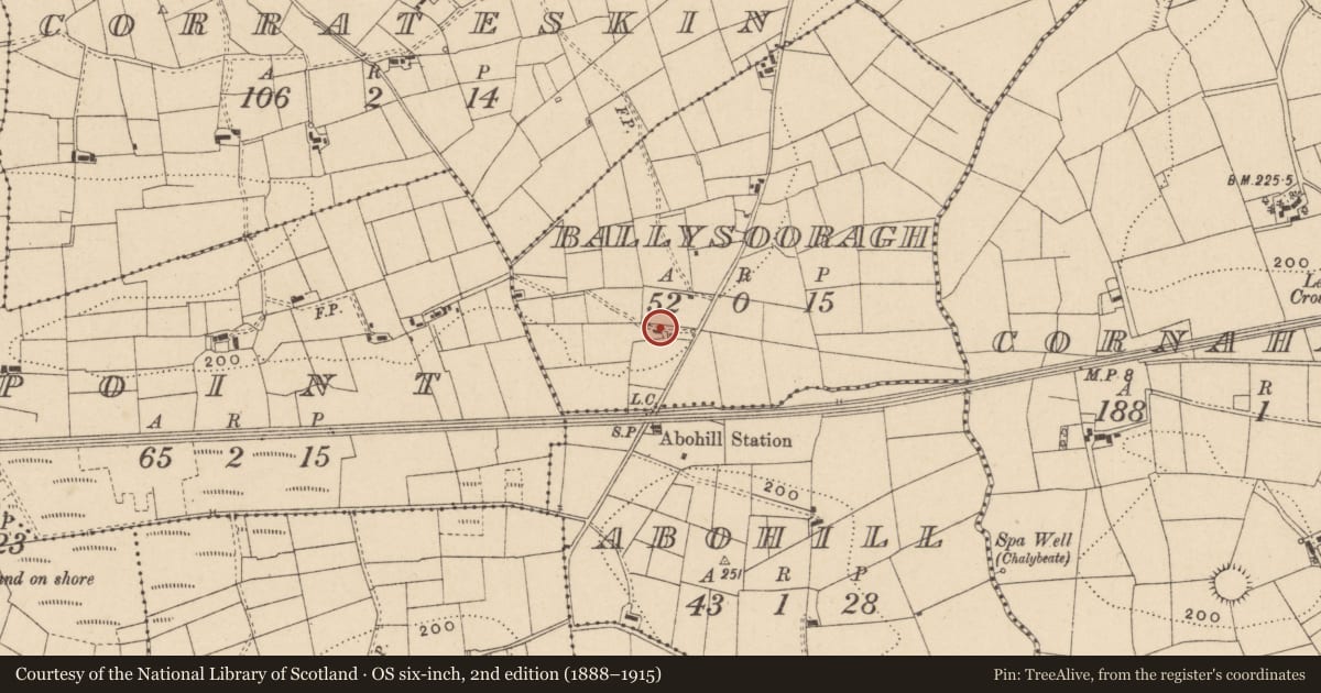 Ordnance Survey six-inch map, 2nd edition (1888–1915) covering the location of 25 Abahiel Road, Letterbreen, Fermanagh and Omagh, with a pin at the register's coordinates