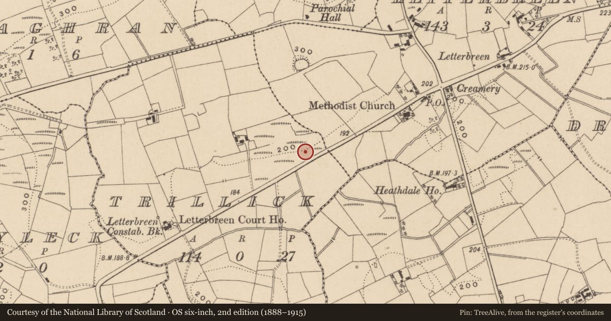 Ordnance Survey six-inch map, 2nd edition (1888–1915) covering the location of Former RUC Station, Trillick, Fermanagh and Omagh, with a pin at the register's coordinates